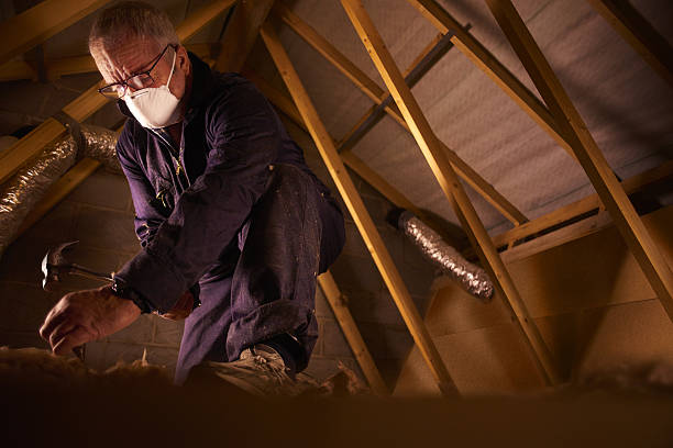 Best Crawl Space Insulation  in Apple Valley, MN